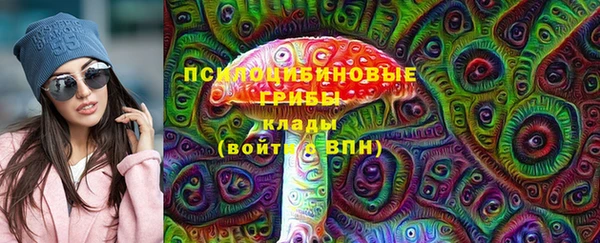 сатива Абдулино