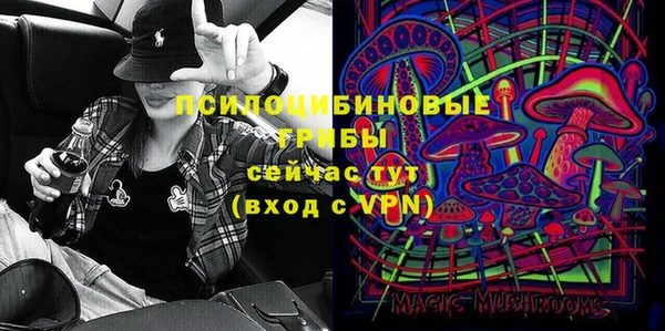 сатива Абдулино