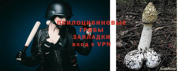 jwh Абаза