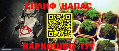 jwh Пугачёв