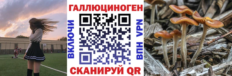 Псилоцибиновые грибы ЛСД  Сызрань 